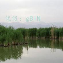 ҵ