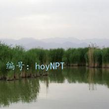 ҵ